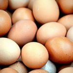 The Secret to Colorful Chicken Eggs