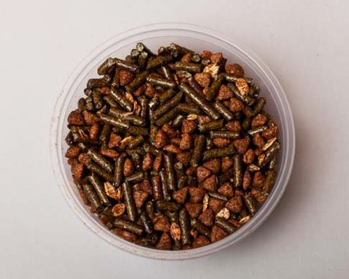 kelleys-golden-age-feed