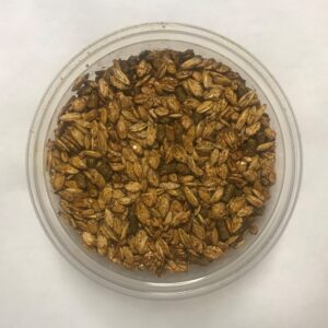 ah oat base no corn horse