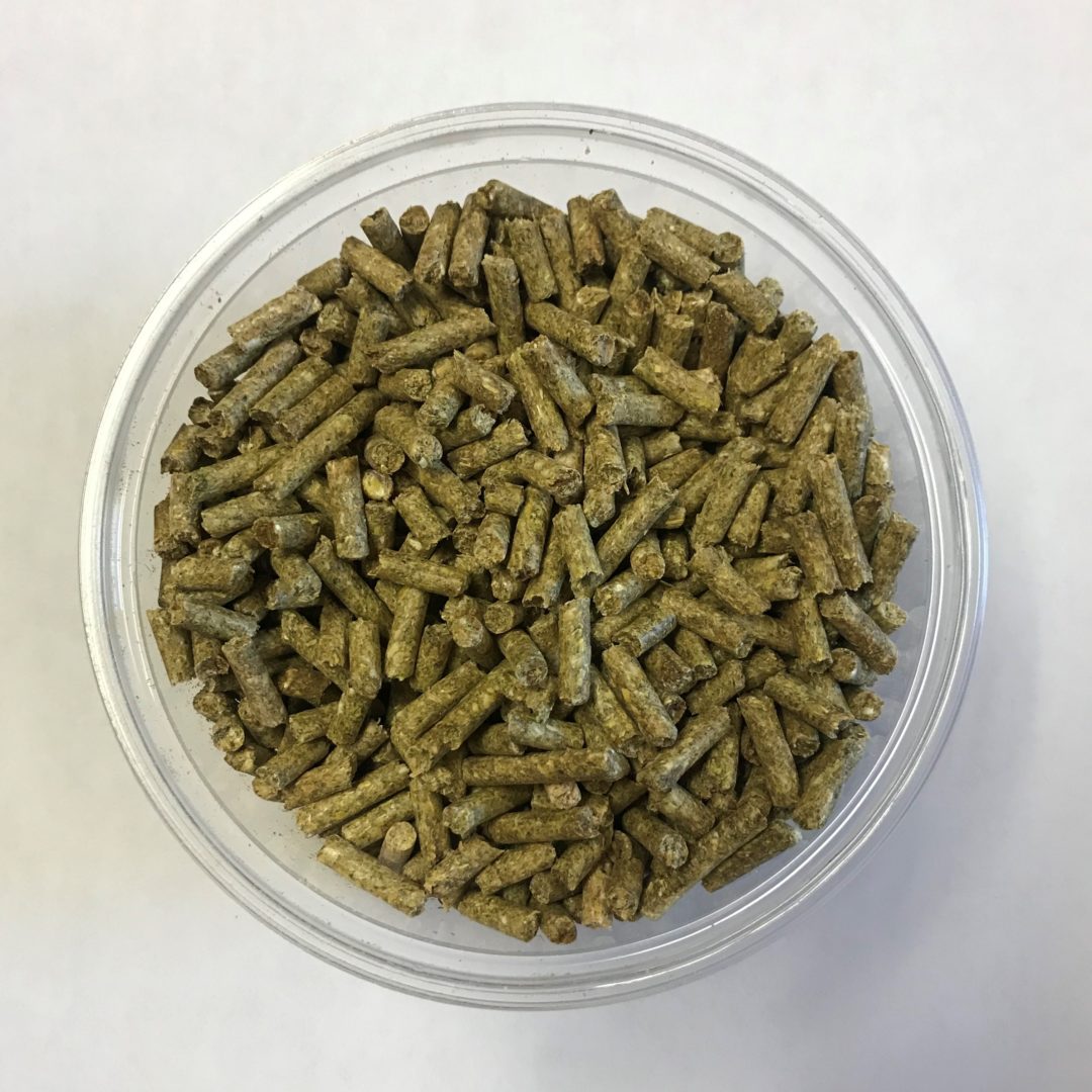 Ace Hi Mini Pot Belly Pig Maintenance Star Milling Co