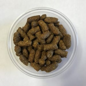rodent regular