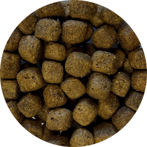 Chunk Dog Food