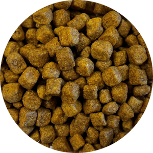 Hi Protein Dog Food