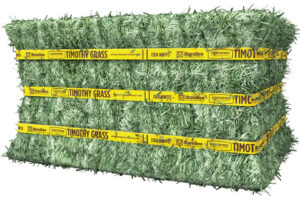 standlee premium timothy compressed bale