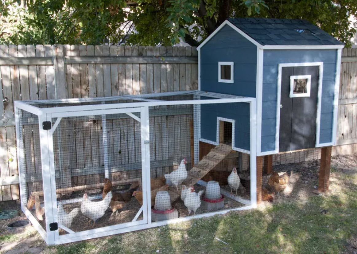 Blue Chicken Coop with Run