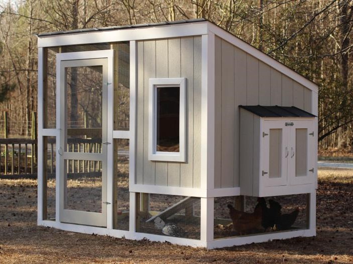 Chicken Coop