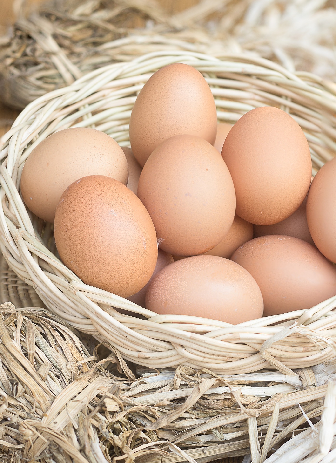 eggs-6856209_1920