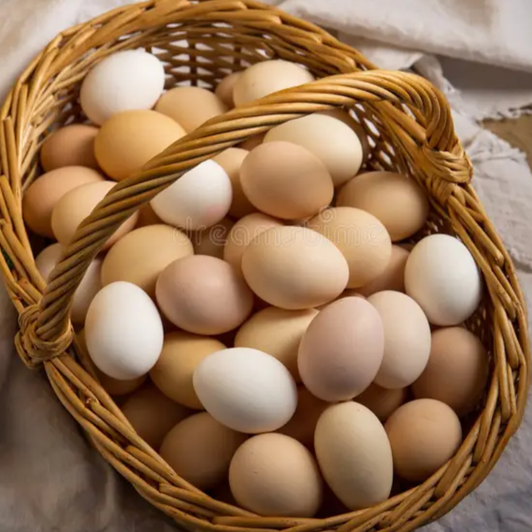 Fresh eggs collected from backyard chickens