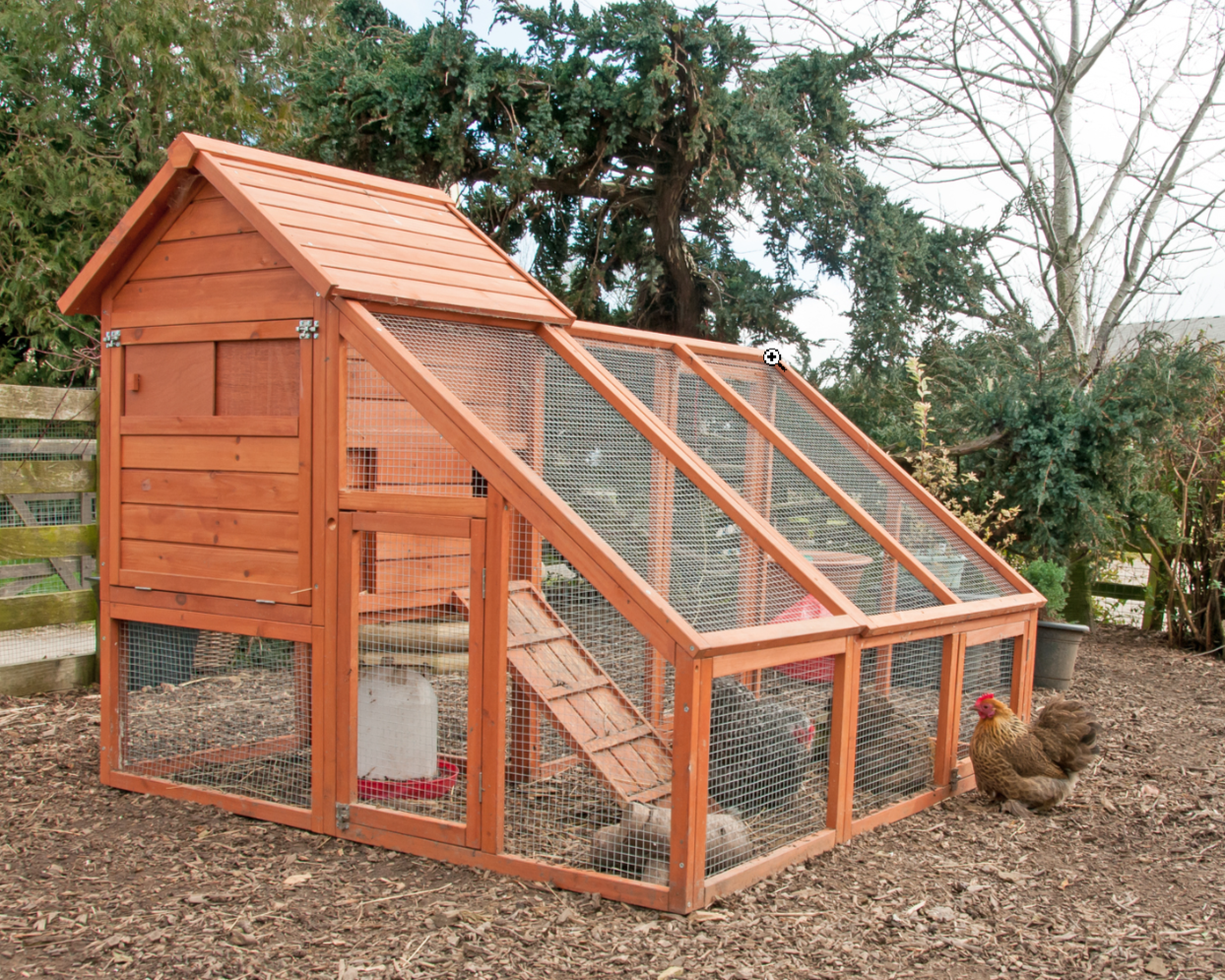 Backyard chicken coop with run - Star Milling Co. Backyard chicken coop with run - Star Milling Co.