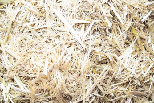 chopped straw bedding 2