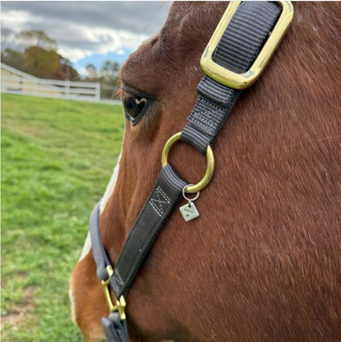 Custom Horse Name Tag Horse bridle with custom name tag