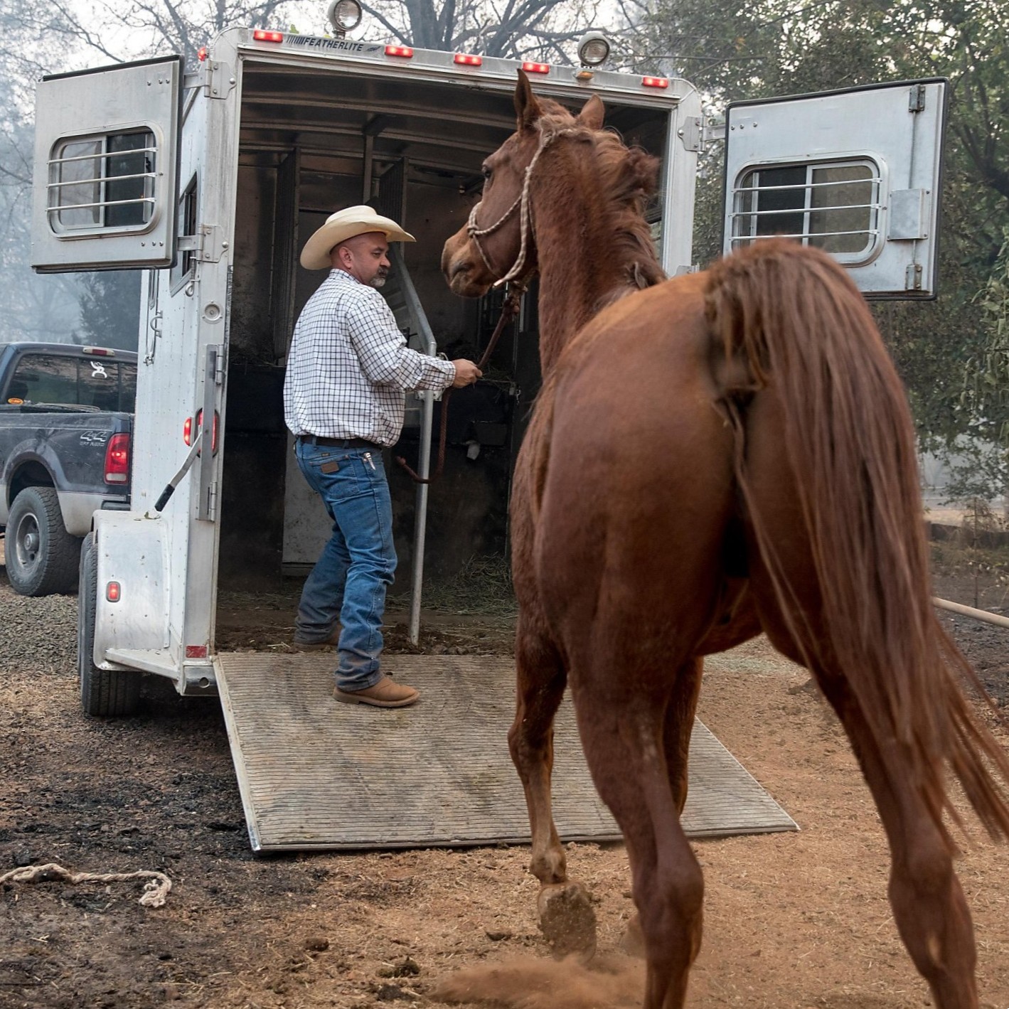 horse being rescued from a fire Cowboy rescuing horse from a fire