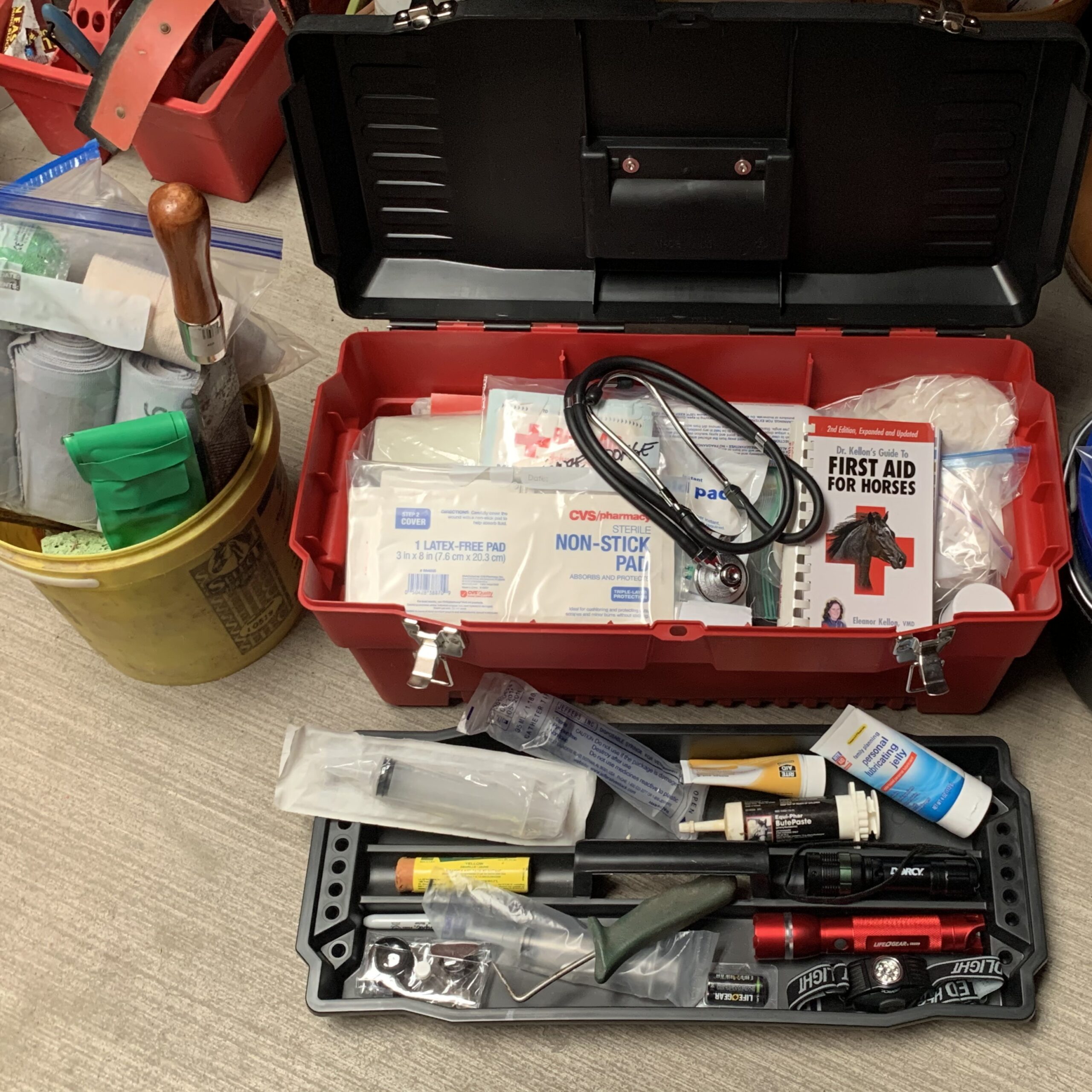 horse emegency kit Emergency kit for horses