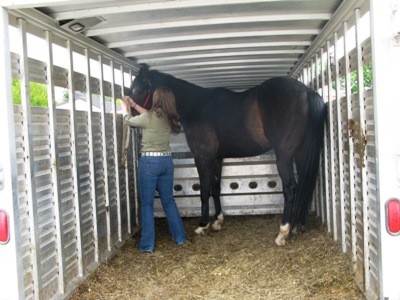 horse trailer evacuation