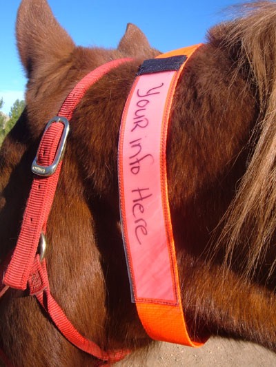 horse id collar