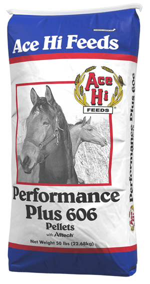 Ace Hi Feeds Performance Plus 606 Horse Feed | Star Milling Co.