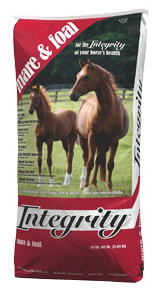 Ingegrity Mare and Foal