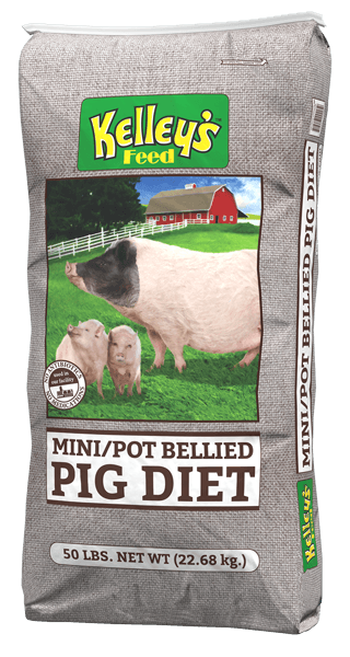 Pot belly pig food best sale