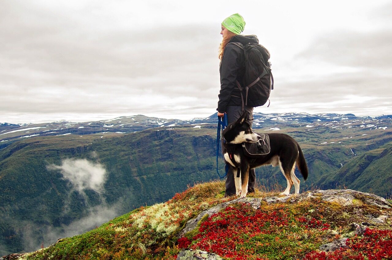 Fun hike with your dog - Star Milling Co.