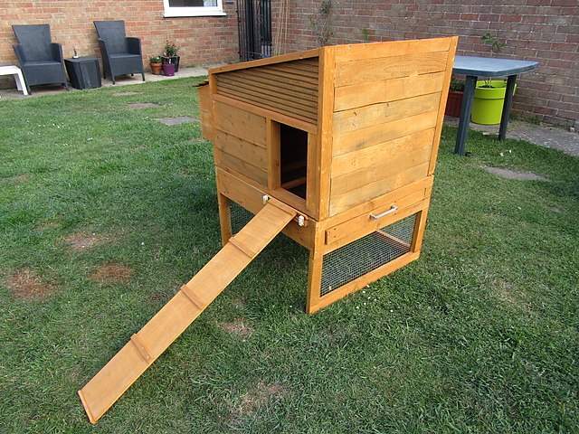 Backyard chicken coop - Star Milling Co.