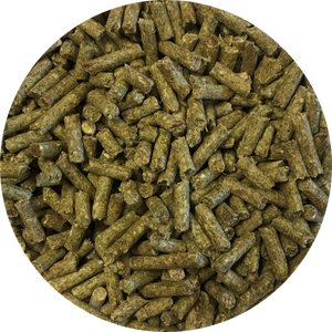 Mini Pot Belly pig food