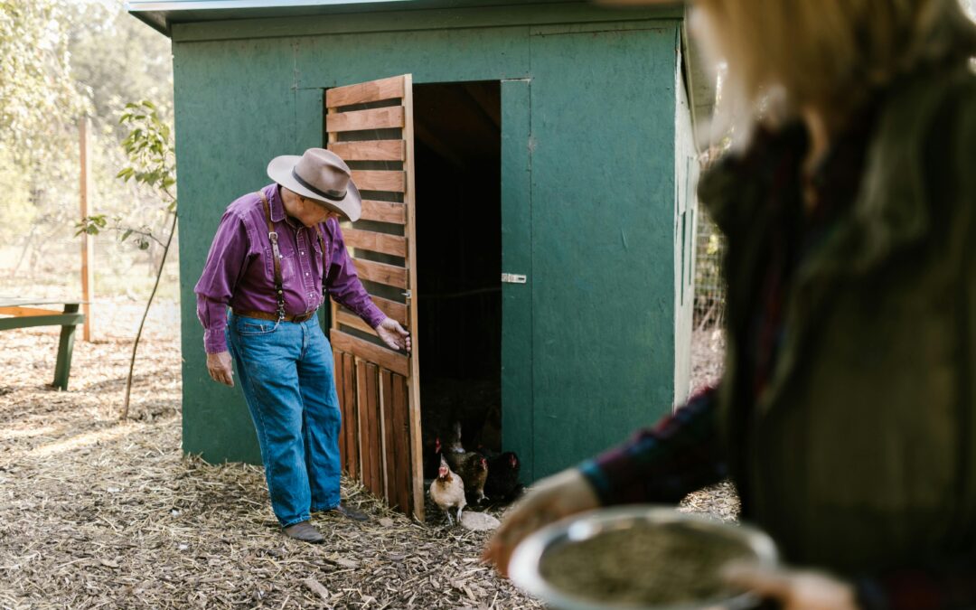Tips for Predator-Proofing Your Chicken Coop: How to Keep Your Flock Safe