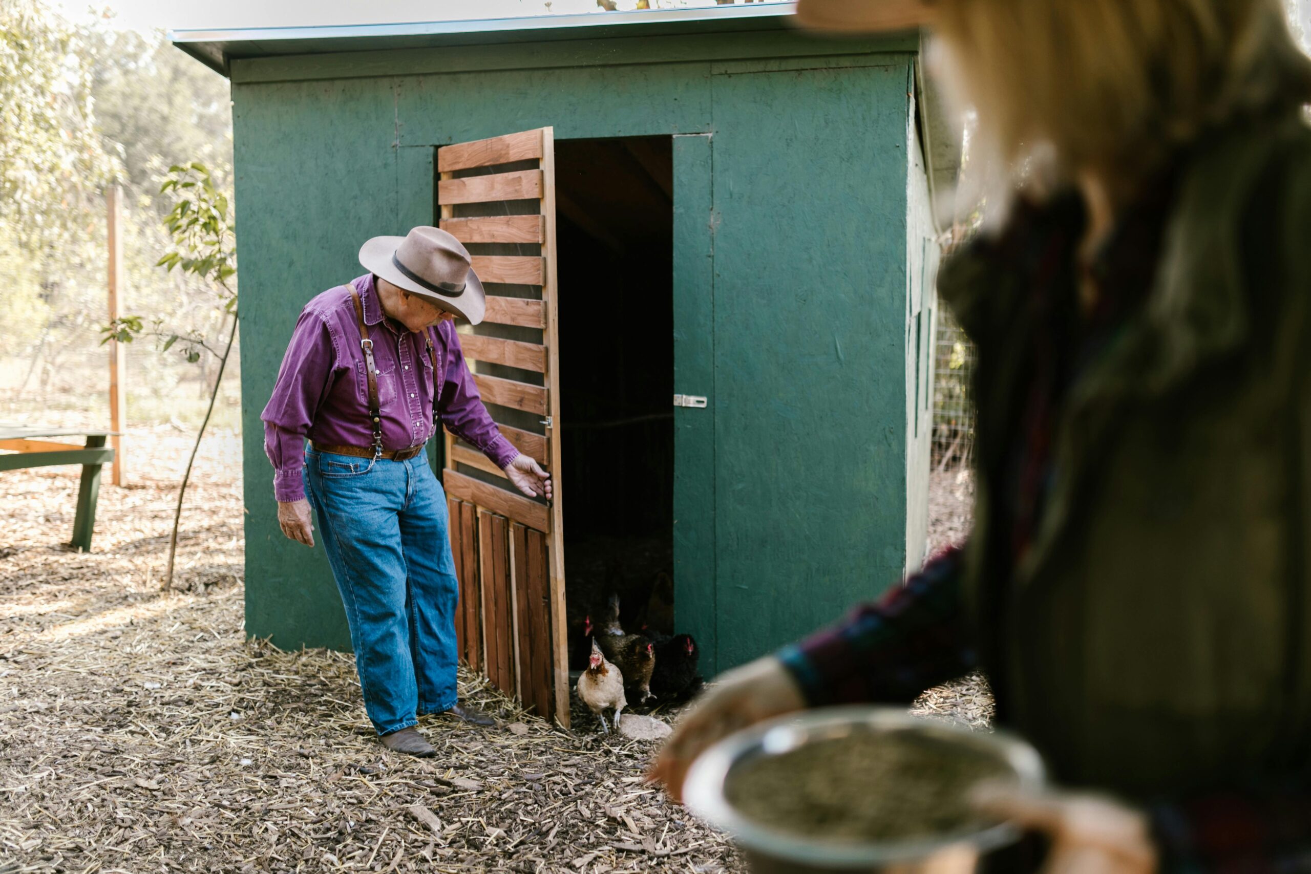 Secure feeding in chicken coop - Star Milling Col