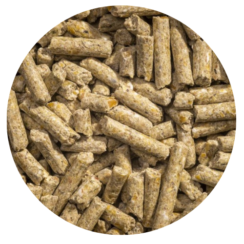 Organic layer pellets for hens