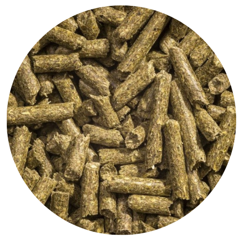 Organic layer pellets for hens