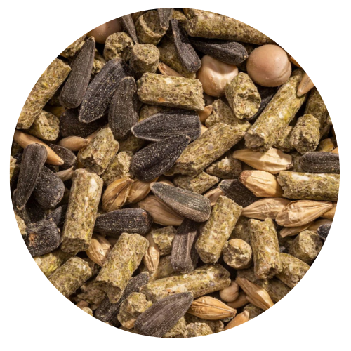 Organic whole grain layer mix for hens