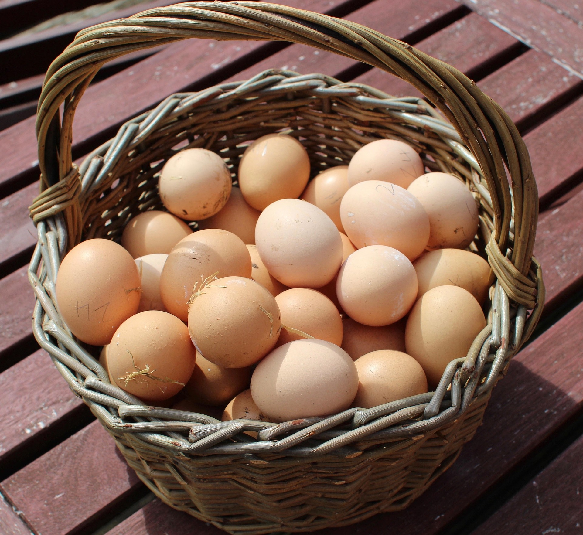 fresh-eggs-2442415_1920